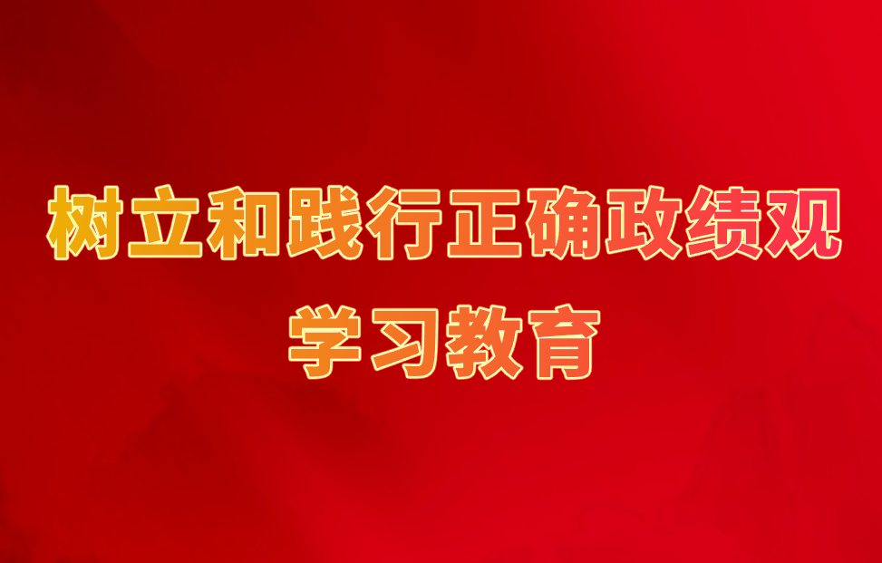 树立和践行正确政绩观学习教育